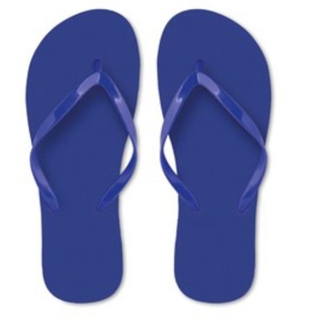 Flip Flop Flora Blauw